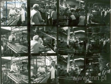 Wglądówki zdjęć wykonanych w dniu 9 lipca 1980 roku