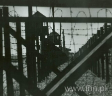 Majdanek