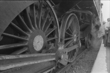 Dworzec Kolejowy PKP. Pociąg stojący na peronie