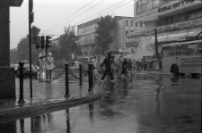 Przystanek autobusowy na ulicy Lipowej od strony Krakowskiego Przedmieścia