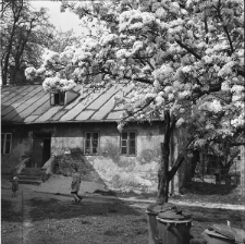 Ulica Dolna Panny Marii w Lublinie