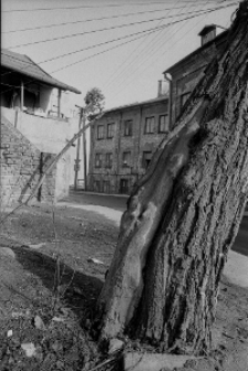 Ulica Dolna Panny Marii w Lublinie