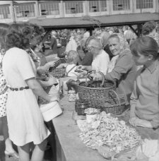 Nowy Plac Targowy w Lublinie