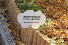 Podw&oacute;rko wyobraźni: Mały Książę