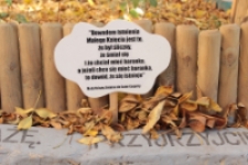 Podw&oacute;rko wyobraźni: Mały Książę