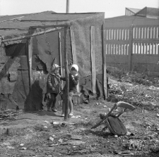 Dzieci na huśtawce przy komórce na osiedlu baraków przy ulcy Mełgiewskiej