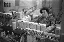 Pracowniczka cukrowni podczas wykonywania obowiązk&oacute;w w cukrowni