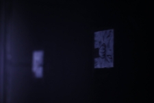 Wystawa Skąd się biorą słowa?