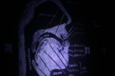 Wystawa Skąd się biorą słowa?