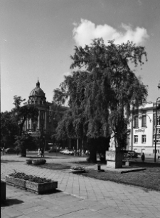 Plac Litewski w Lublinie, widok na skrzyżowanie Krakowskiego Przedmieścia z ulicą 3 Maja