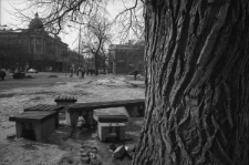 Plac Litewski w Lublinie, widok zza drzewa na skrzyżowanie Krakowskiego Przedmieścia z ulicami Kołłątaja i 3 Maja