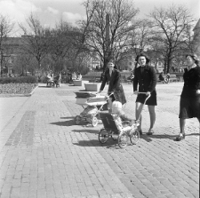 Młode kobiety z w&oacute;zkami dziecięcymi na Placu Litewskim w Lublinie