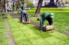 Układanie trawnika wokół pomnika Unii Lubelskiej na Placu Litewskim w Lublinie