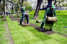 Układanie trawnika wokół pomnika Unii Lubelskiej na Placu Litewskim w Lublinie