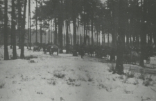 Batalion majora Władysława Czermińskiego "Jastrzębia"