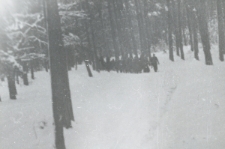 Oddział Władysława Czermińskiego "Jastrzębia"