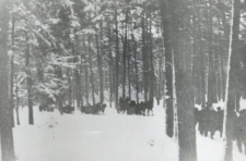 Batalion Władysława Czermińskiego "Jastrzębia"