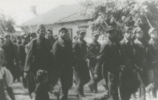 Żołnierze 27 Wołyńskiej Dywizji Piechoty AK z batalionu Franciszka Pukackiego "Gzymsa"