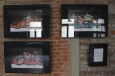 Wystawa prac dyplomowych student&oacute;w Wydziału Artystycznego UMCS