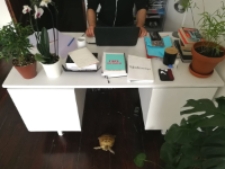 1 dzień życia. 17:42, mieszkanie prywatne ul. Żmigr&oacute;d, Lublin, Konrad Kurowski/Lubelski Teatr Tańca