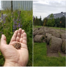 1 dzień życia. 11:00, CSK, 13:00, Przedmieścia Lublina, Wojciech, architekt krajobrazu