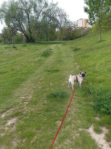 1 dzień życia. 6:30, Park Zawilcowa