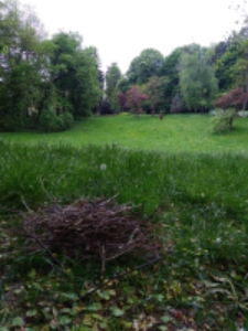 1 dzień życia. 18:00, Ogr&oacute;d Saski