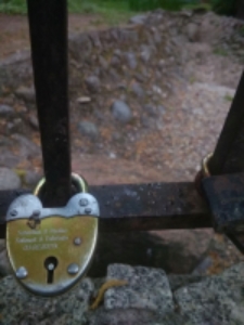 1 dzień życia. 18:43, Ogród Saski, kładka przy stawie