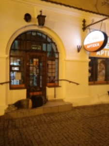 1 dzień życia. 23:35, Apteka na Starym Mieście