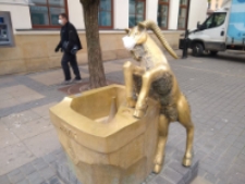 1 dzień życia. 14:30, Krakowskie Przedmieście