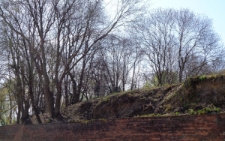 Stary Cmentarz Żydowski w Lublinie