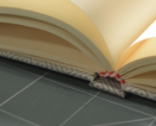 Oprawa twarda – kapitałka