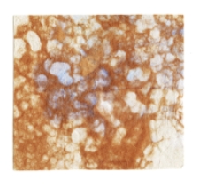 Papier czerpany, barwiony, wielowarstwowy, technika japońska, wł&oacute;kna z łyka morwy białej/kozo