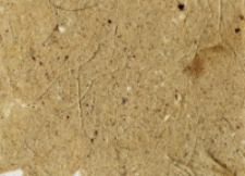 Papier czerpany, technika japońska, wł&oacute;kna mieszane