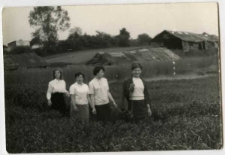 Cegielnia przy ulicy Drobnej &ndash; Maria Salasa &ndash; fragment relacji świadka historii [AUDIO]