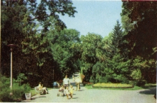 Ogr&oacute;d Saski w Lublinie