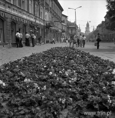 Krakowskie Przedmieście