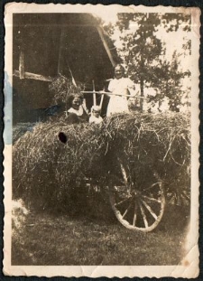 Helena Gierczak na wozie