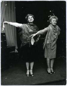 Zofia Wronko-Mitrut i Danuta W&oacute;jtowicz-Tarczydło