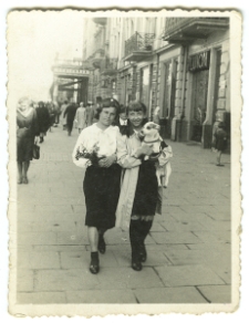 Krakowskie Przedmieście w Lublinie