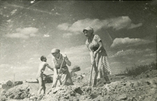 Zofia Siwek (Szwajgier) podczas czynu społecznego