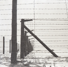 Teren byłego obozu koncentracyjnego i zagłady na Majdanku