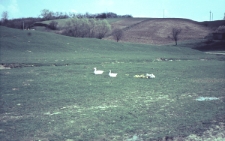 Dolina Czech&oacute;wki w Lublinie