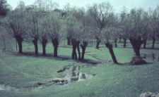 Dolina Czech&oacute;wki w Lublinie