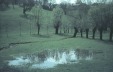 Dolina Czech&oacute;wki w Lublinie