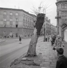 Ulica Gabriela Narutowicza w Lublinie