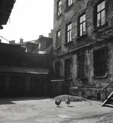 Ulica Rybna w Lublinie