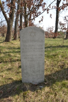 Jewish cemetery in Adamów