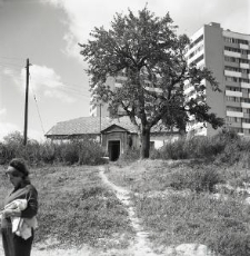 Dzielnica Kalinowszczyzna w Lublinie