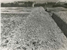 Roboty ziemne pod projektowaną betoniarnię - kopanie niewelet